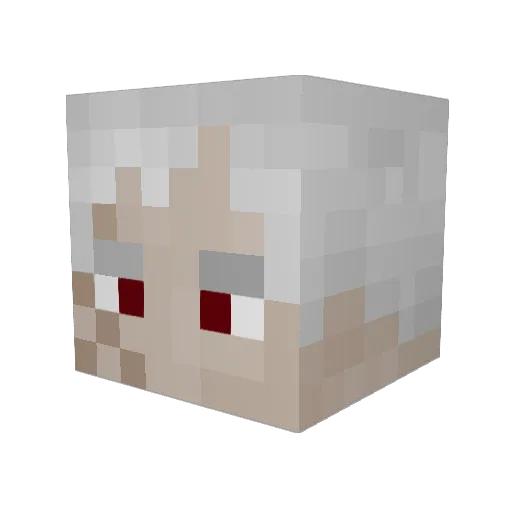 Lizukey Minecraft avatar head, 3D render