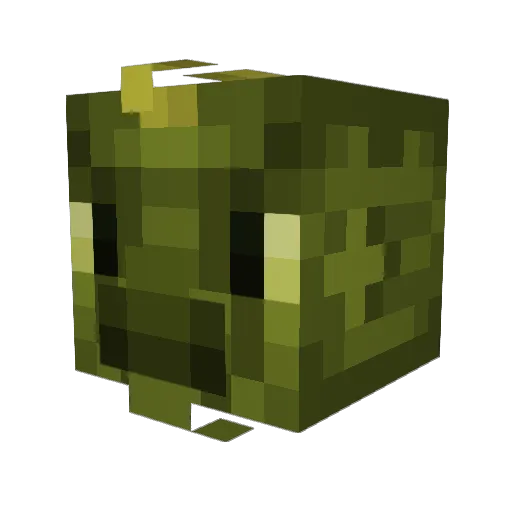 LizurT Minecraft avatar head, 3D render