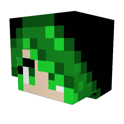 Lizz1224 Minecraft avatar head, 3D render