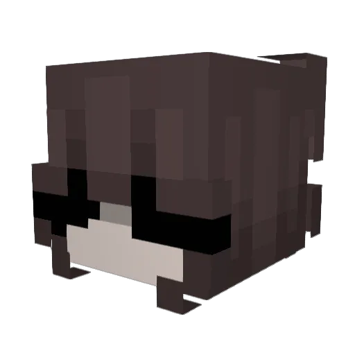 LizzIsInsane Minecraft avatar head, 3D render