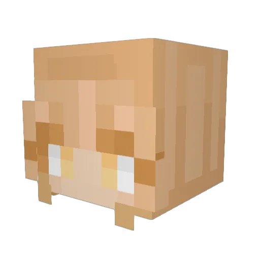 Lizzaylia Minecraft avatar head, 3D render