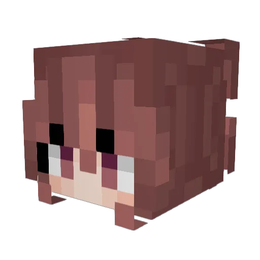 Lizzie1forever Minecraft avatar head, 3D render