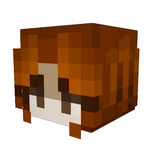 LizzyFox77 Minecraft avatar head, 3D render