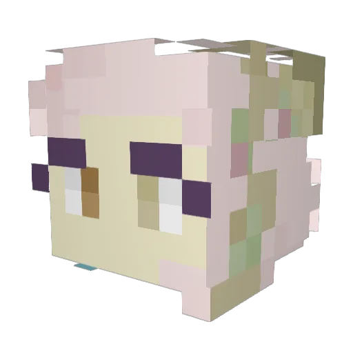 LizzyKitty4 Minecraft avatar head, 3D render
