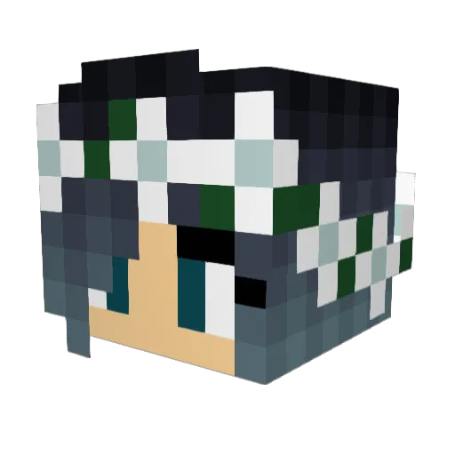 LizzyShadow Minecraft avatar head, 3D render