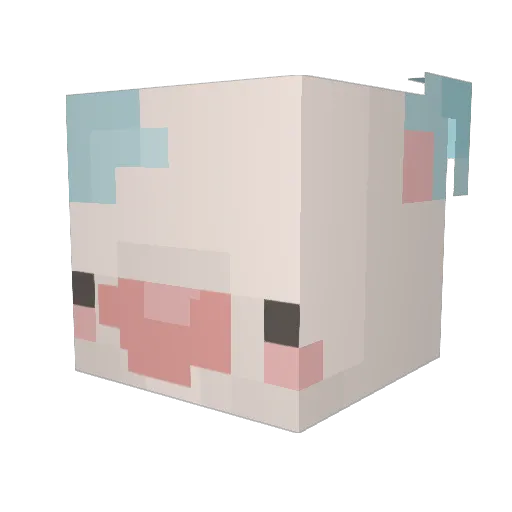 Lizzylolpugs Minecraft avatar head, 3D render