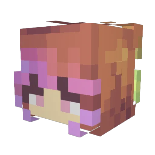 Lizzyplays Minecraft avatar head, 3D render