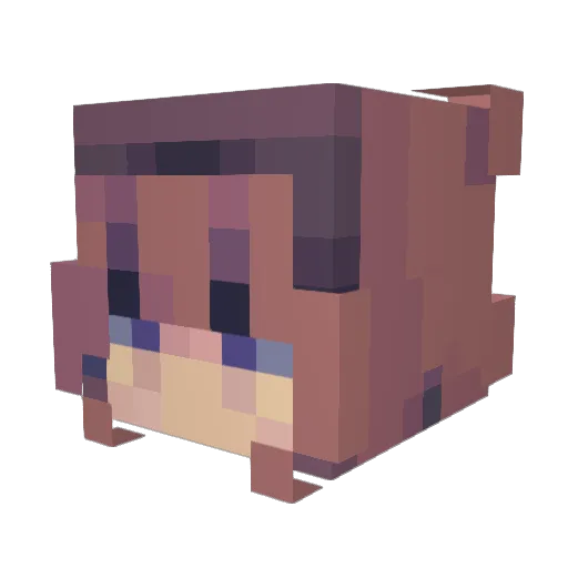 Lizzyq04 Minecraft avatar head, 3D render