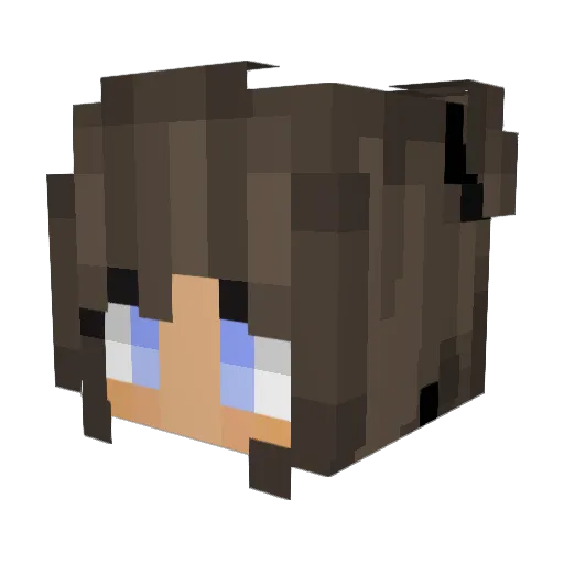 Lizzywoods101 Minecraft avatar head, 3D render