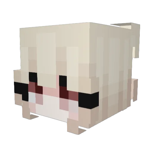 Lizzzz_13 Minecraft avatar head, 3D render