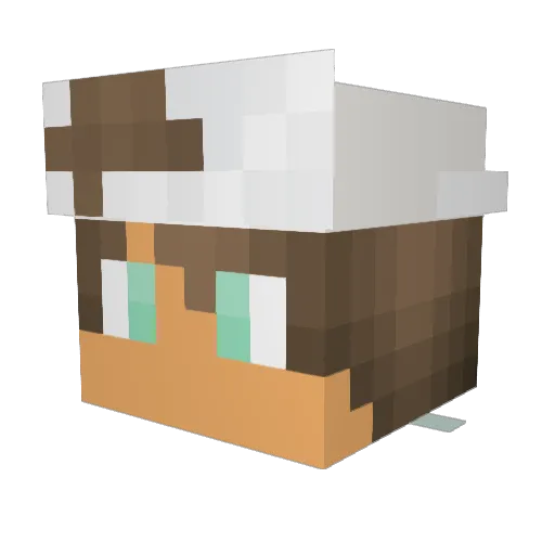 Lj_MineCraftNerd Minecraft avatar head, 3D render