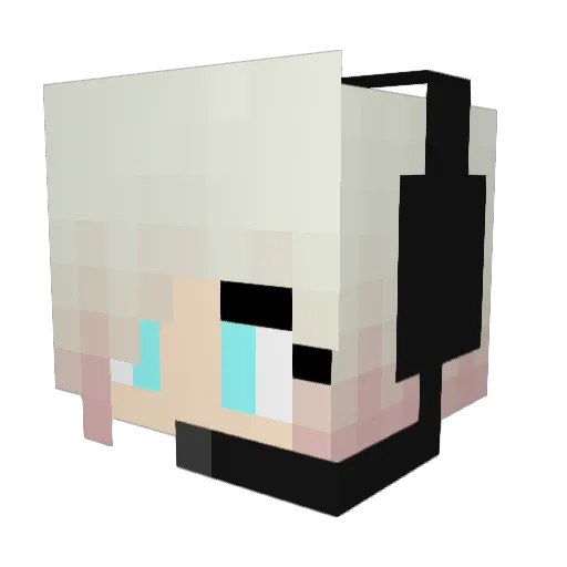 Ljaden17 Minecraft avatar head, 3D render