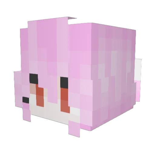 Ljt_hax_ Minecraft avatar head, 3D render