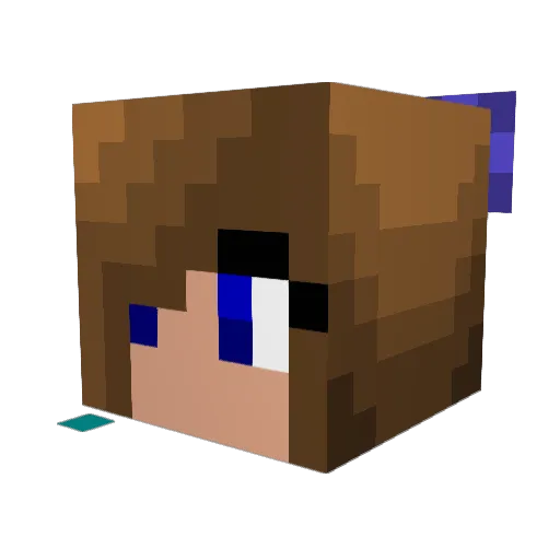 Lk973 Minecraft avatar head, 3D render
