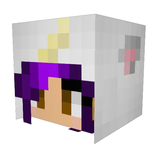 LlamaButt29 Minecraft avatar head, 3D render