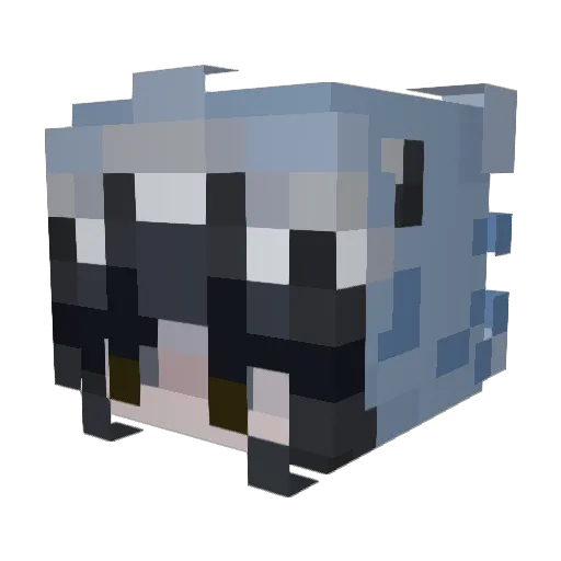 LlamaGirl14 Minecraft avatar head, 3D render