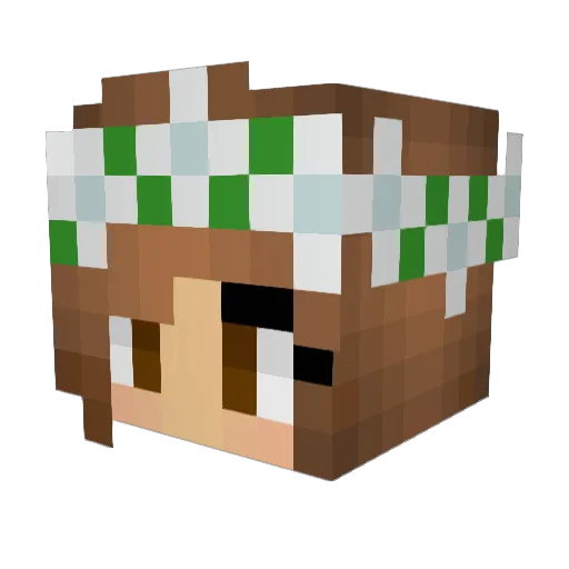 LlamaGoRawr Minecraft avatar head, 3D render