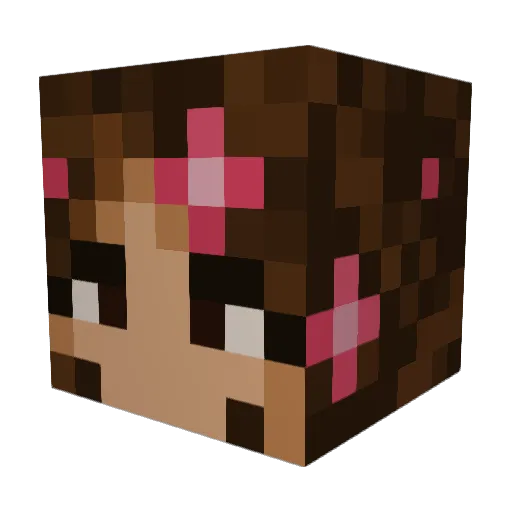 LlamaLady04 Minecraft avatar head, 3D render