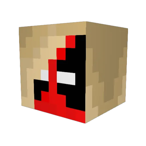 LlamaLady9347 Minecraft avatar head, 3D render