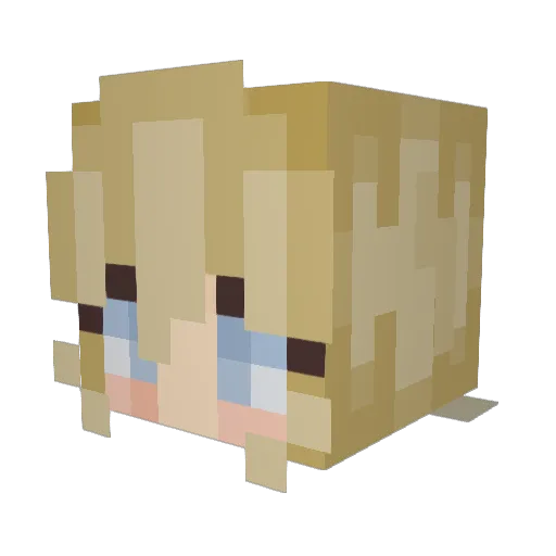 LlamaLover17 Minecraft avatar head, 3D render