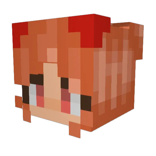 LlamaLover19 Minecraft avatar head, 3D render