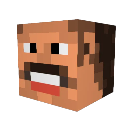 LlamaMaster69 Minecraft avatar head, 3D render