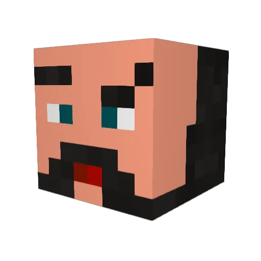 LlamaSWAG Minecraft avatar head, 3D render