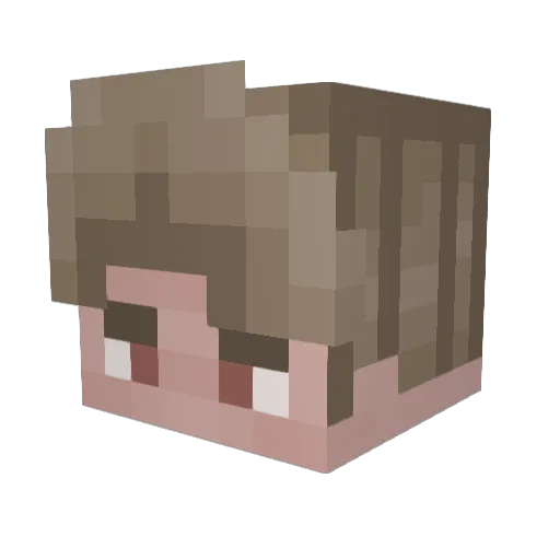 LlamaShirts Minecraft avatar head, 3D render