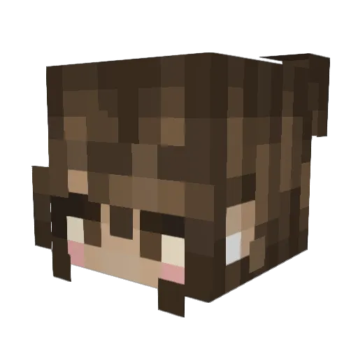 Llama_Princess Minecraft avatar head, 3D render