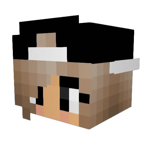 Llama_Quin Minecraft avatar head, 3D render