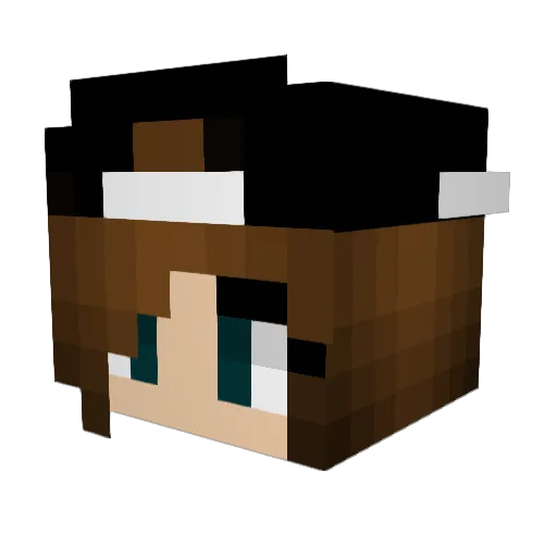 Llamagirl2004 Minecraft avatar head, 3D render