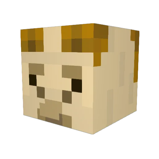 Llamahunter48 Minecraft avatar head, 3D render