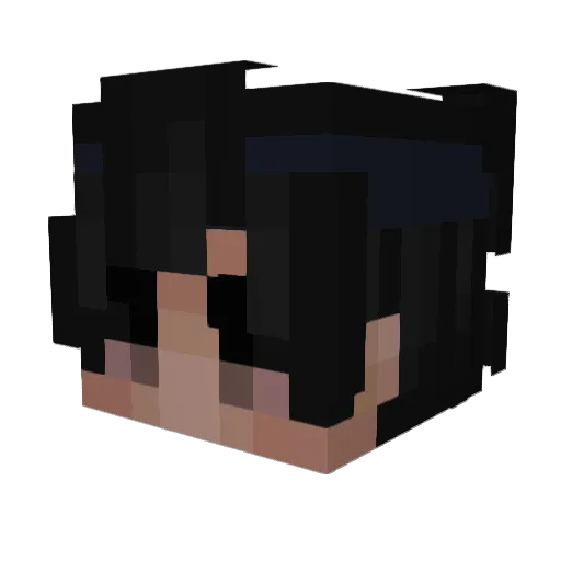 Llamarr Minecraft avatar head, 3D render