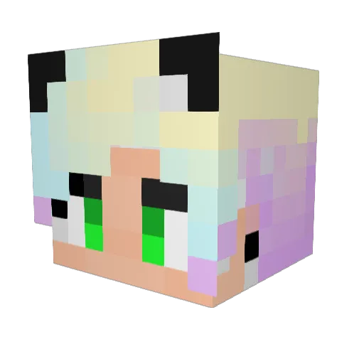Llamasass Minecraft avatar head, 3D render