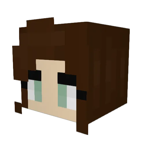 Llamoriarty Minecraft avatar head, 3D render