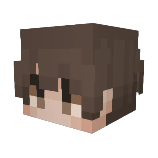 Llannn Minecraft avatar head, 3D render