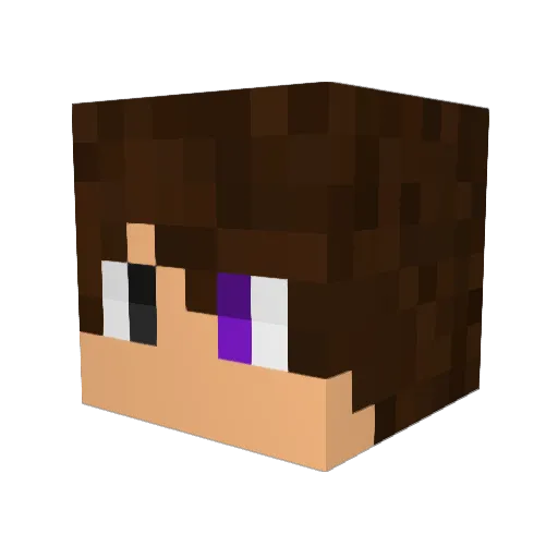 Llaorm Minecraft avatar head, 3D render