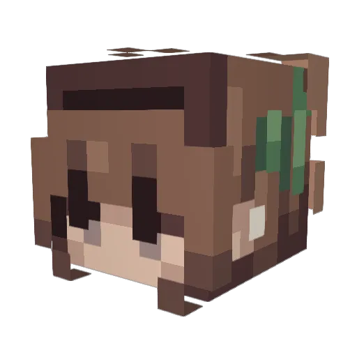 Lle28 Minecraft avatar head, 3D render