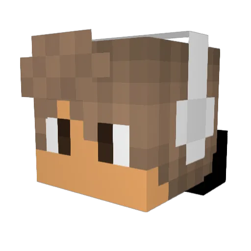 Lleo_173 Minecraft avatar head, 3D render