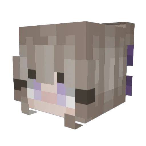 Llizus Minecraft avatar head, 3D render
