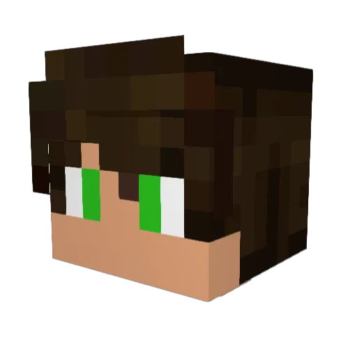 Lloyd221 Minecraft avatar head, 3D render