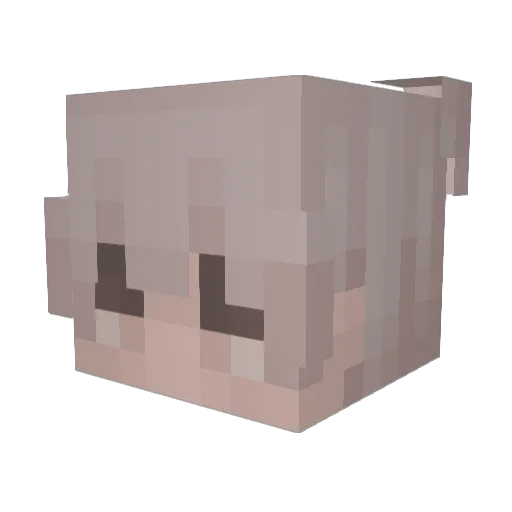 LloydPVP Minecraft avatar head, 3D render