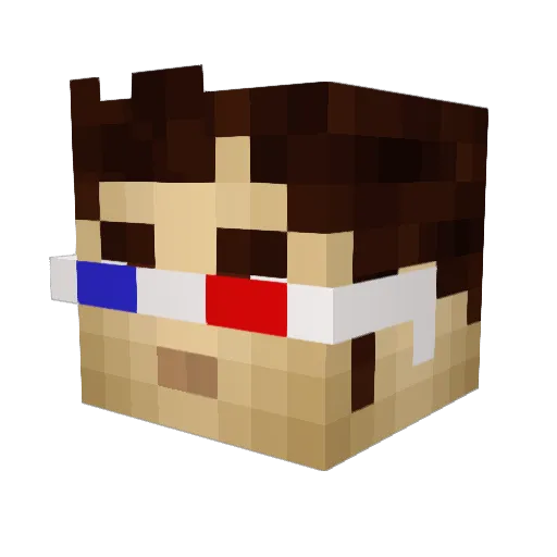 Lloyd_Angifer Minecraft avatar head, 3D render