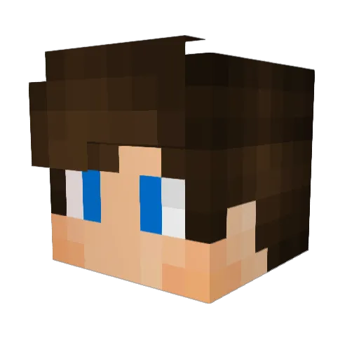 Lloyd_Montgomery Minecraft avatar head, 3D render