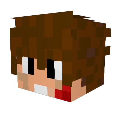Lloydoris Minecraft avatar head, 3D render