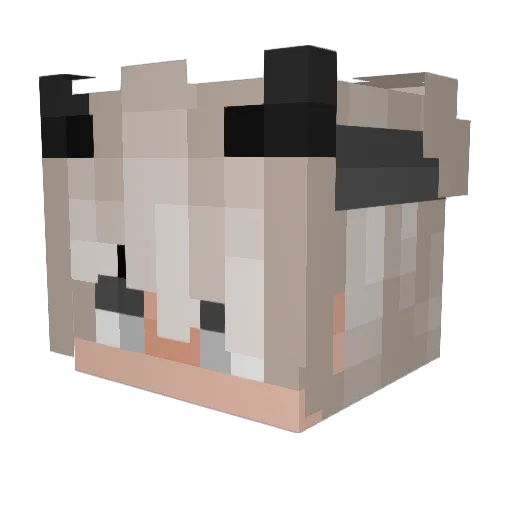 Lloydy8484 Minecraft avatar head, 3D render