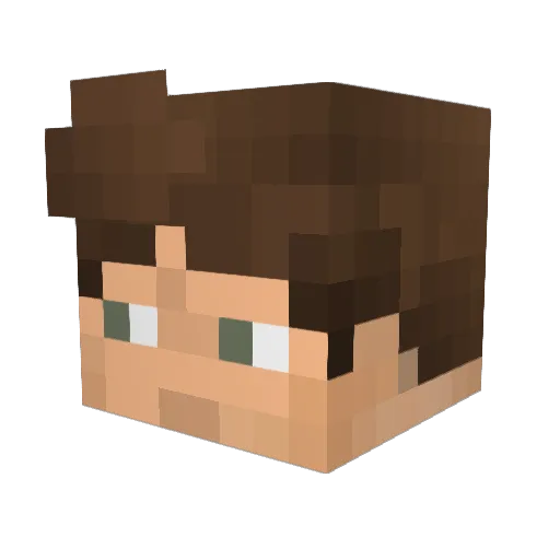Llukas_14 Minecraft avatar head, 3D render
