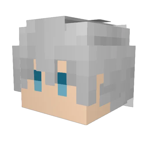 Llymons Minecraft avatar head, 3D render