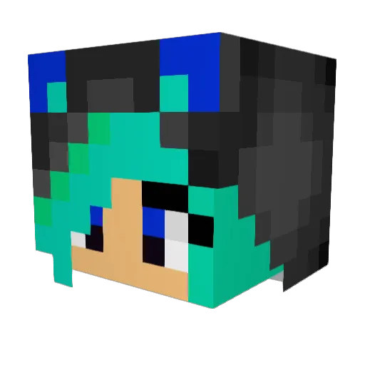 Lman54L5 Minecraft avatar head, 3D render
