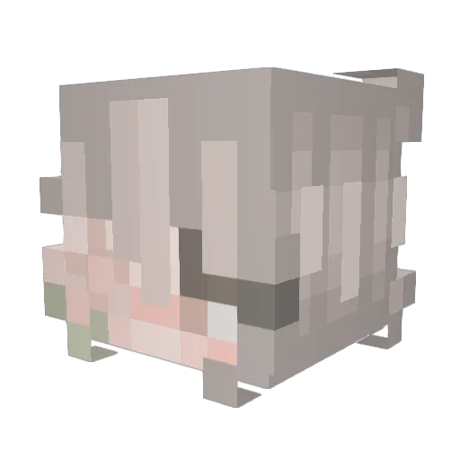 Lmanburger Minecraft avatar head, 3D render